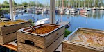 Buffet IJsselmeer Watersportvereniging Haarlem
